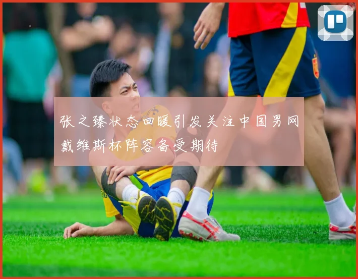 张之臻状态回暖引发关注中国男网戴维斯杯阵容备受期待