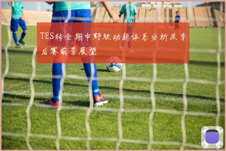 TES转会期中野联动新体系分析及季后赛前景展望